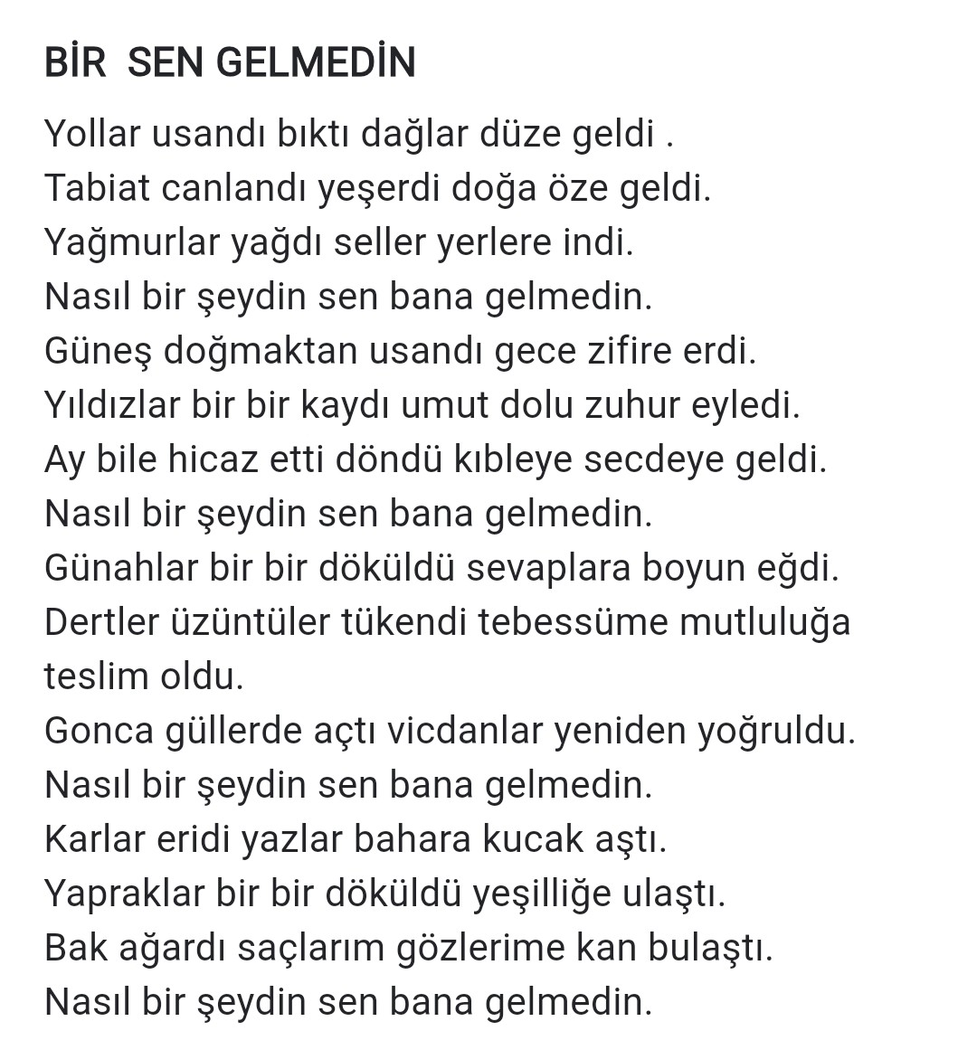 SEN GELMEDİN