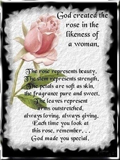 rose 🌹