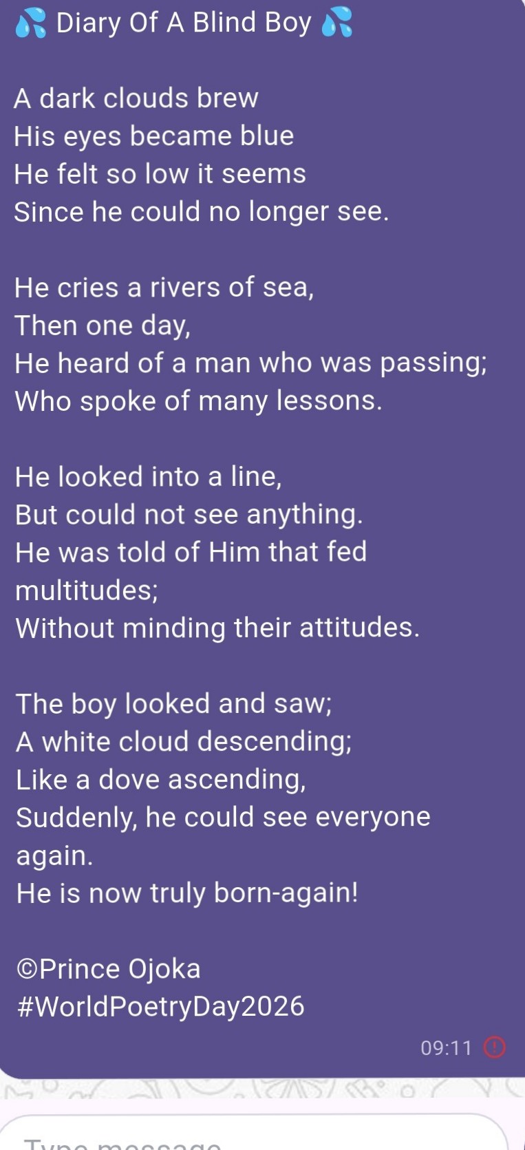DIARY OF A BLIND BOY