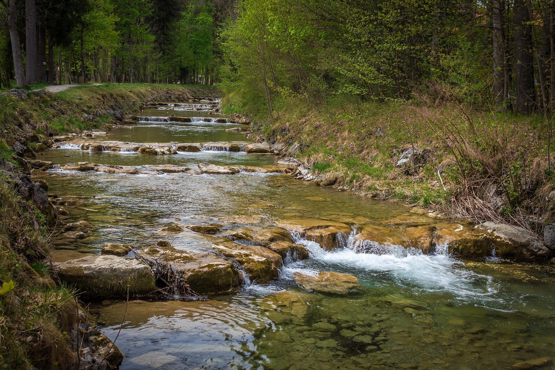 Riachuelo de la conciencia