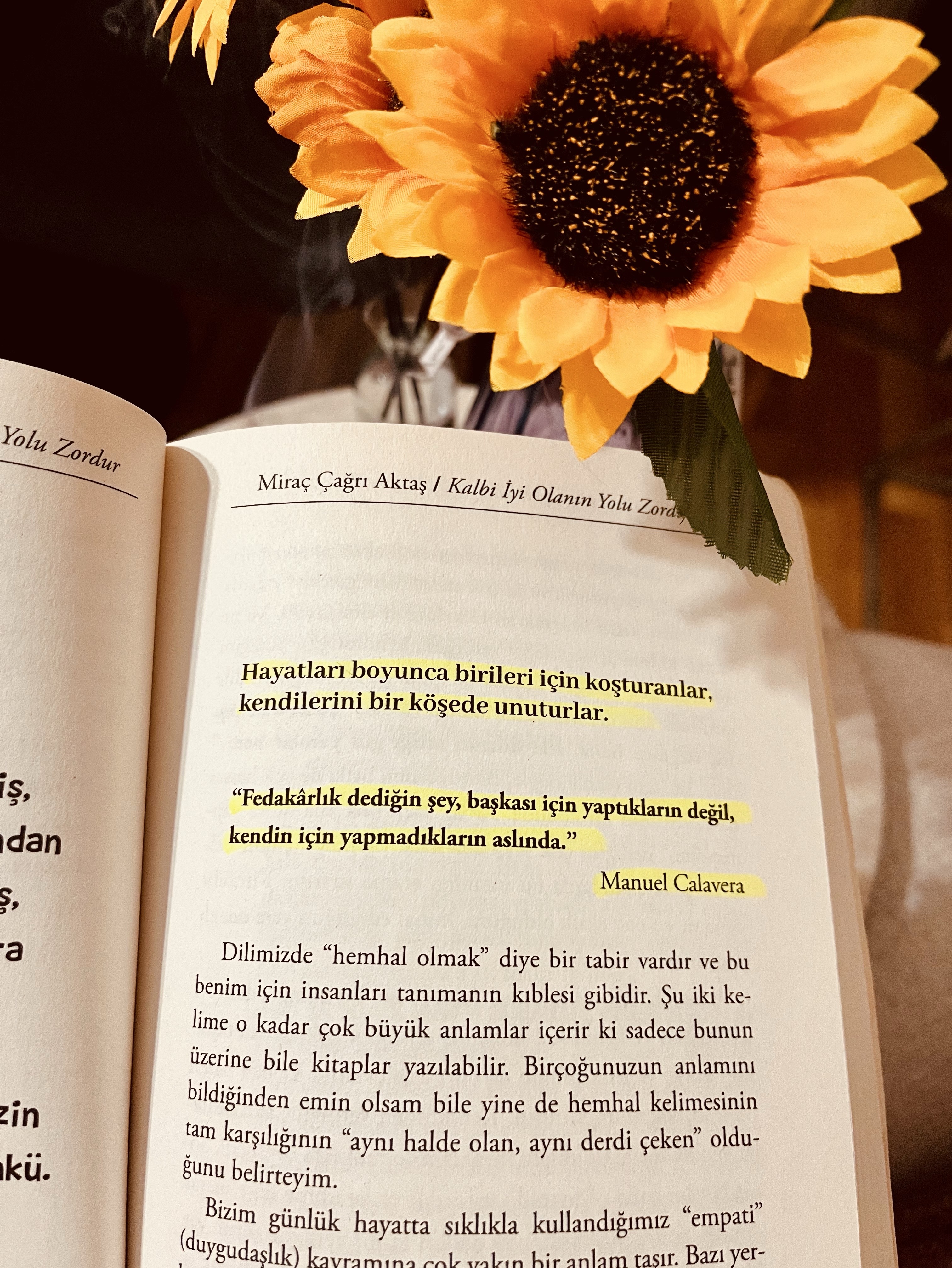Gerçektende böyle değil mi…
İnsan genelde bunu en sevdiklerine yapıyor ve…