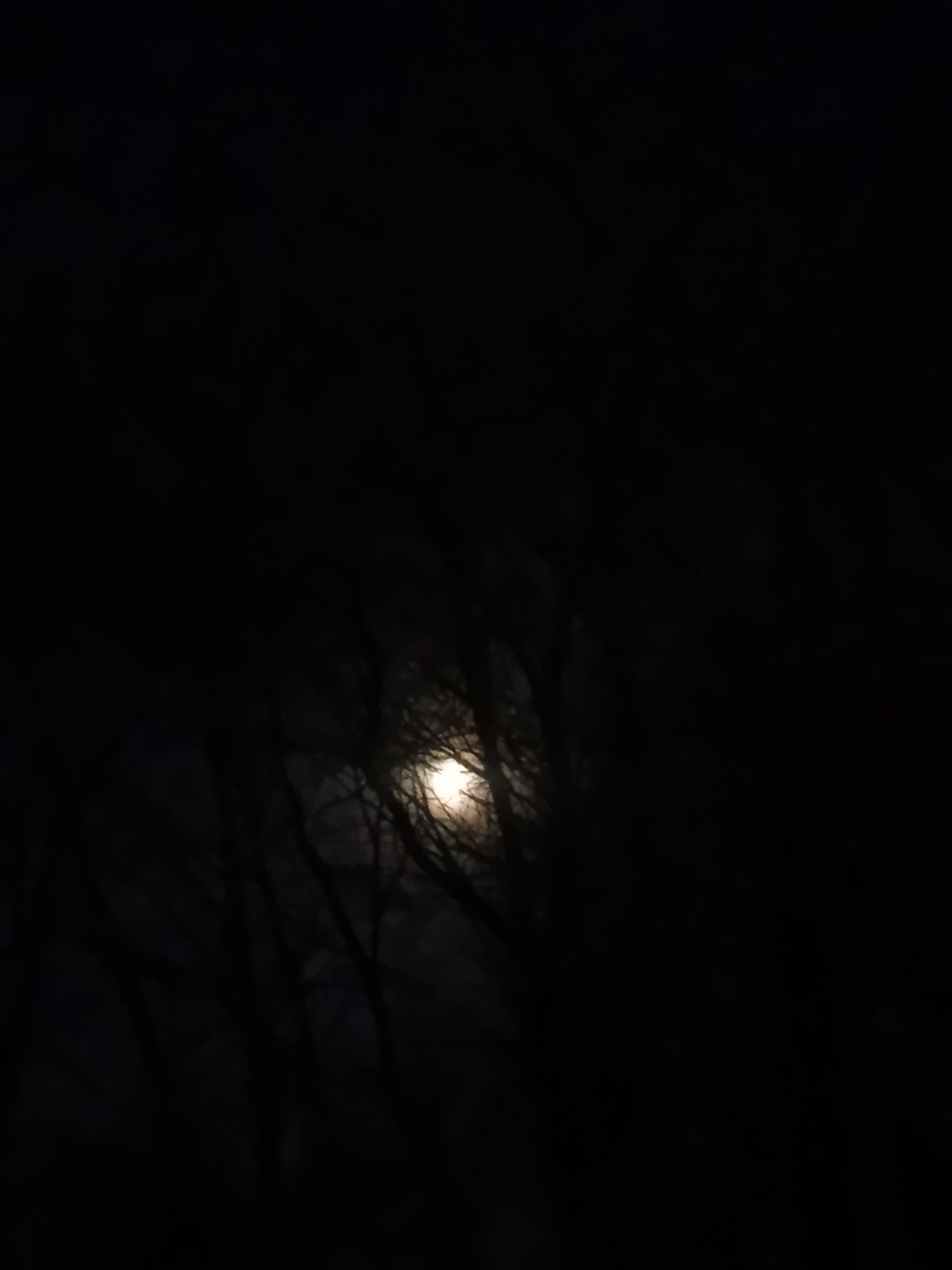 Monday , March 9th , 7:31 am , 2026