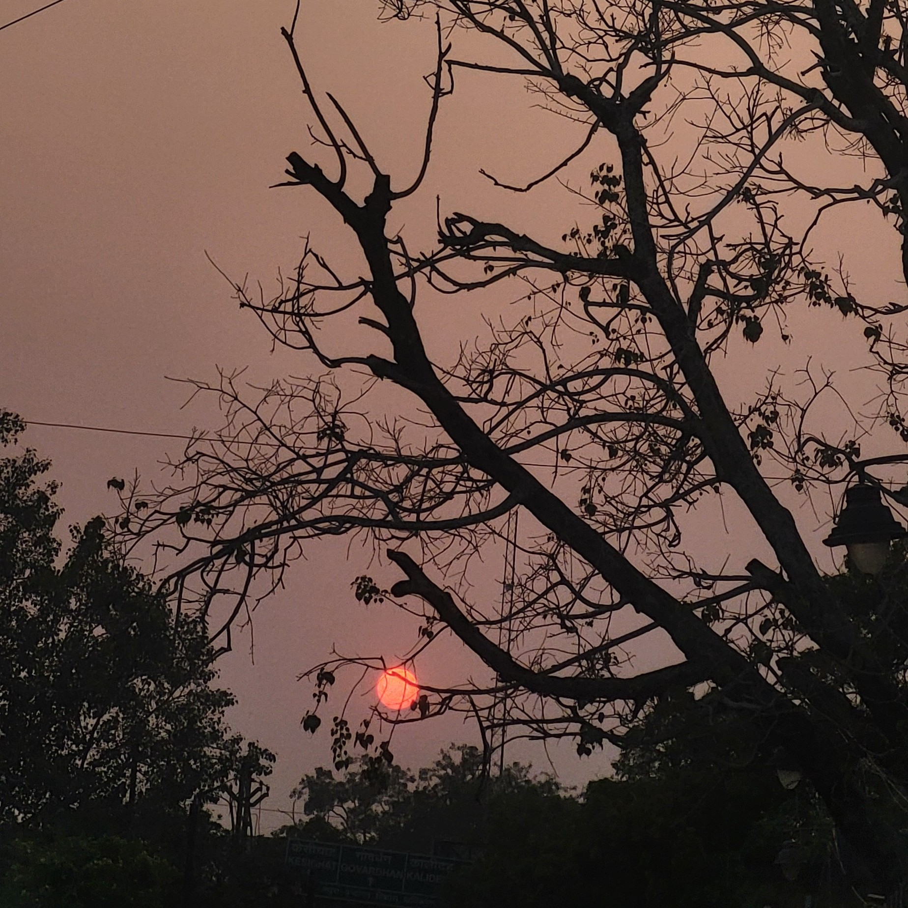 असमंजसता