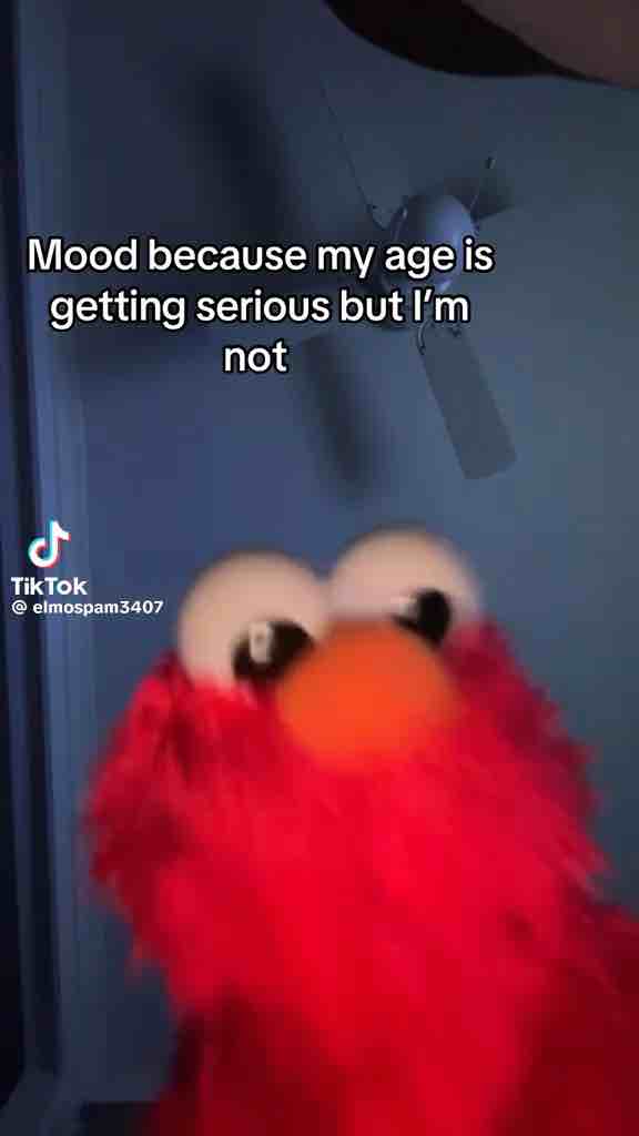 🫡✨✨✨✨