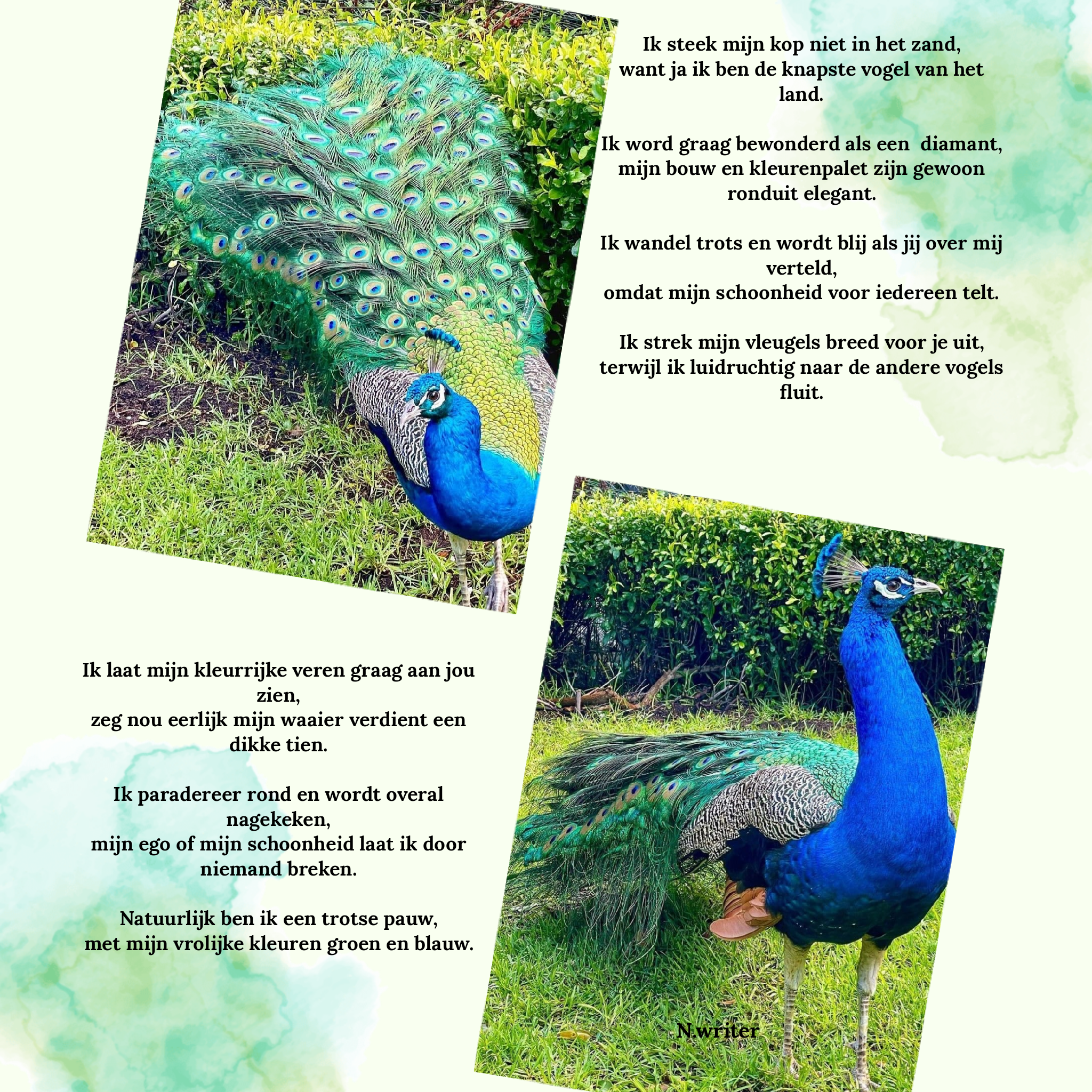 Vogels: