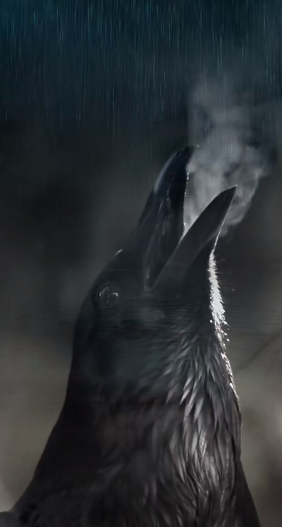 Renoncer 

Je ne demande qu'à m'envoler tel une aile d'un oiseau brisé.