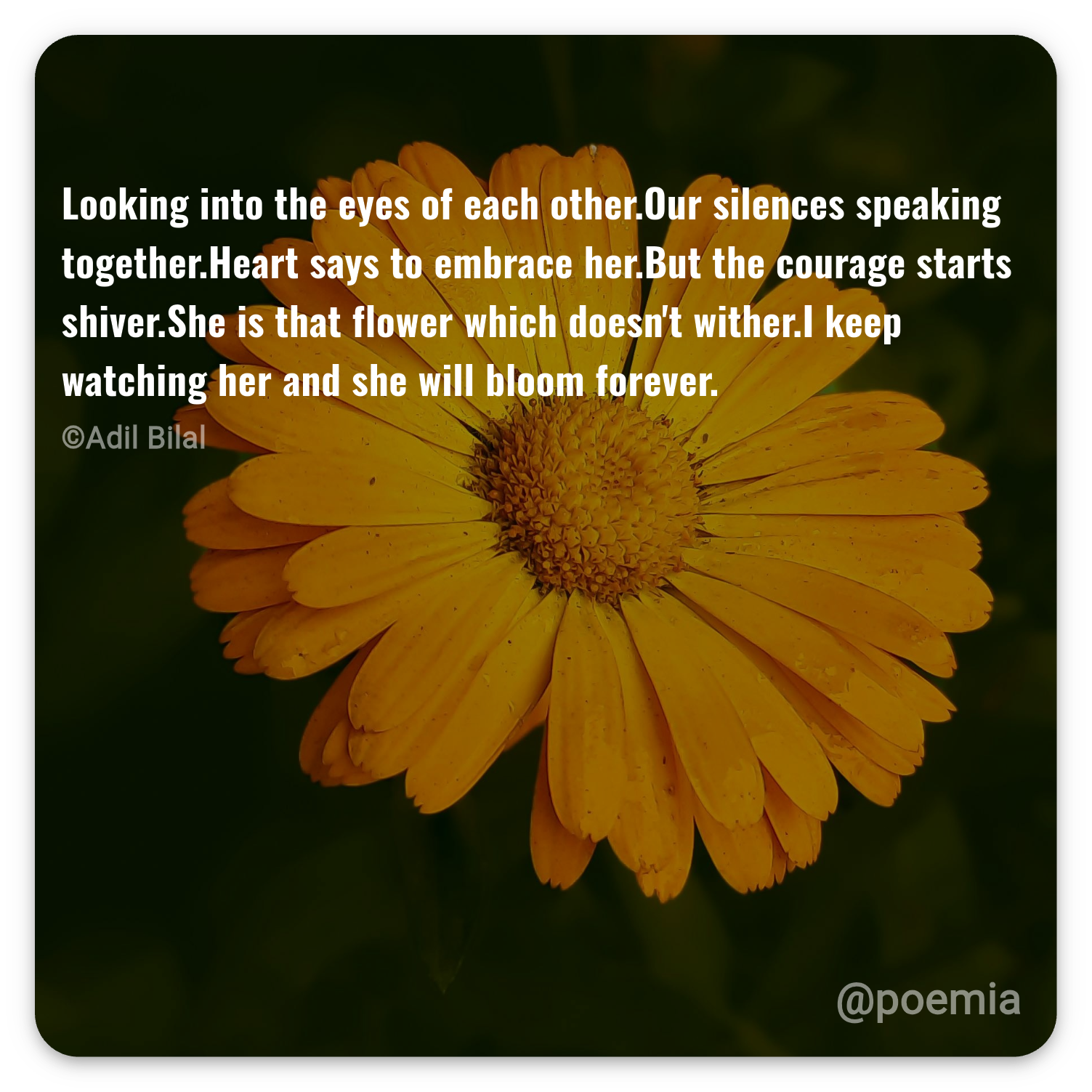 Poemia