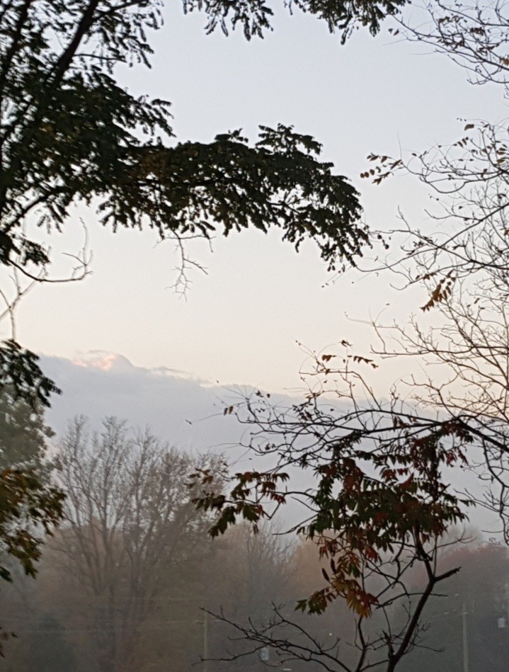 A foggy day