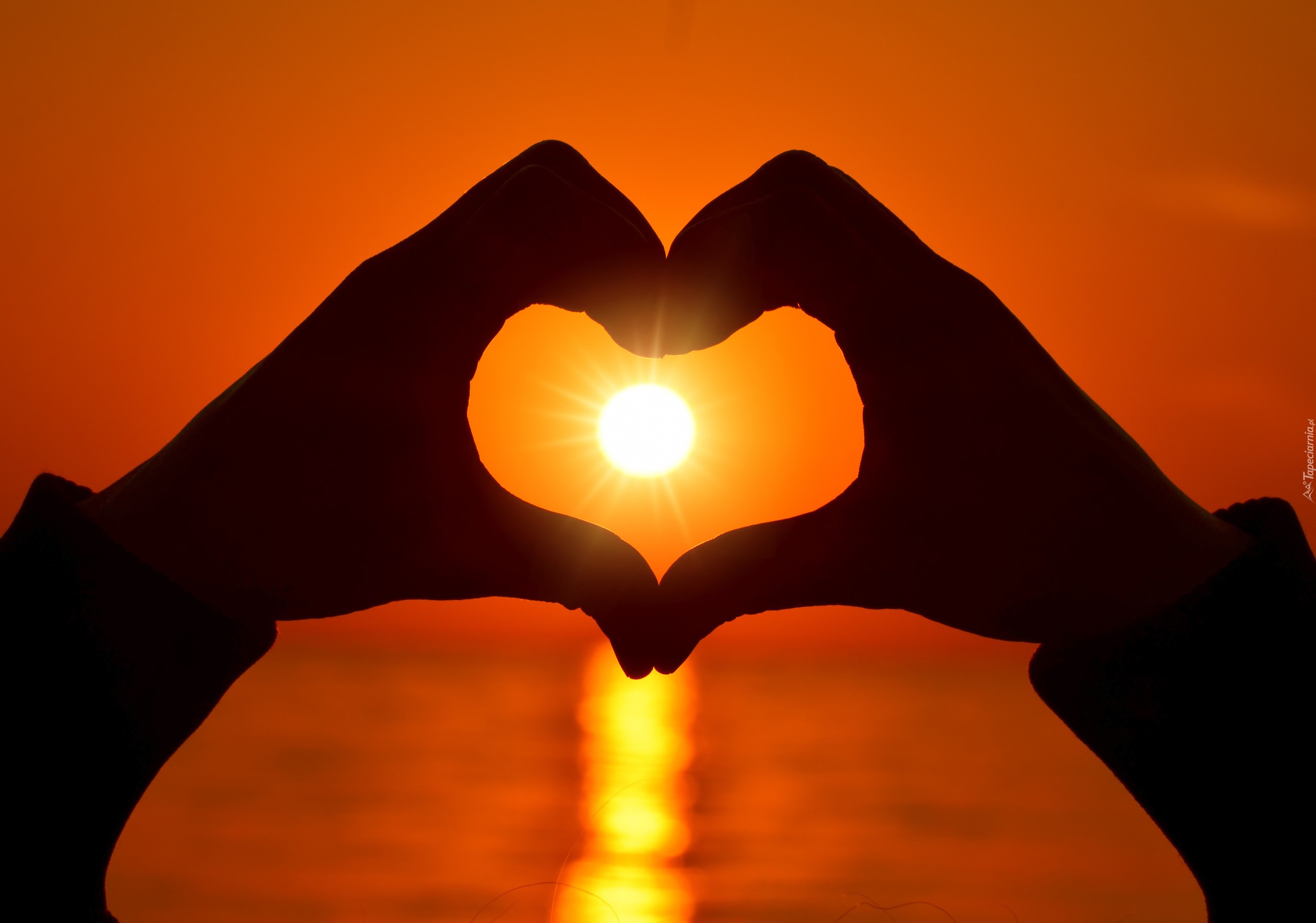 À votre convenance

Je ne demande rien mis à part un peu d'amour que j'offre…