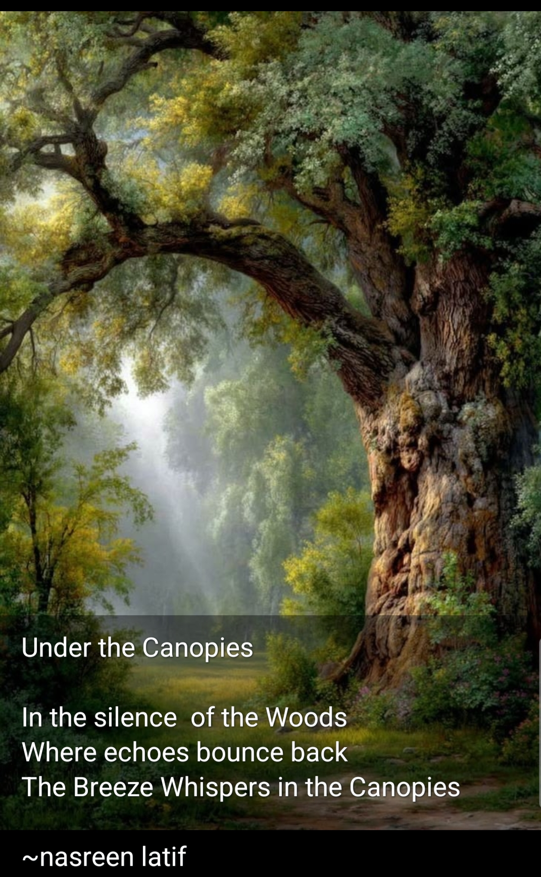 Forests  are our Lungs on this Planet