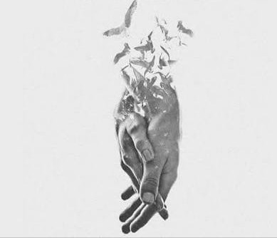 Évidence

L'amour est une folie que je savoure chaque jour et nuit.
Merci mon…