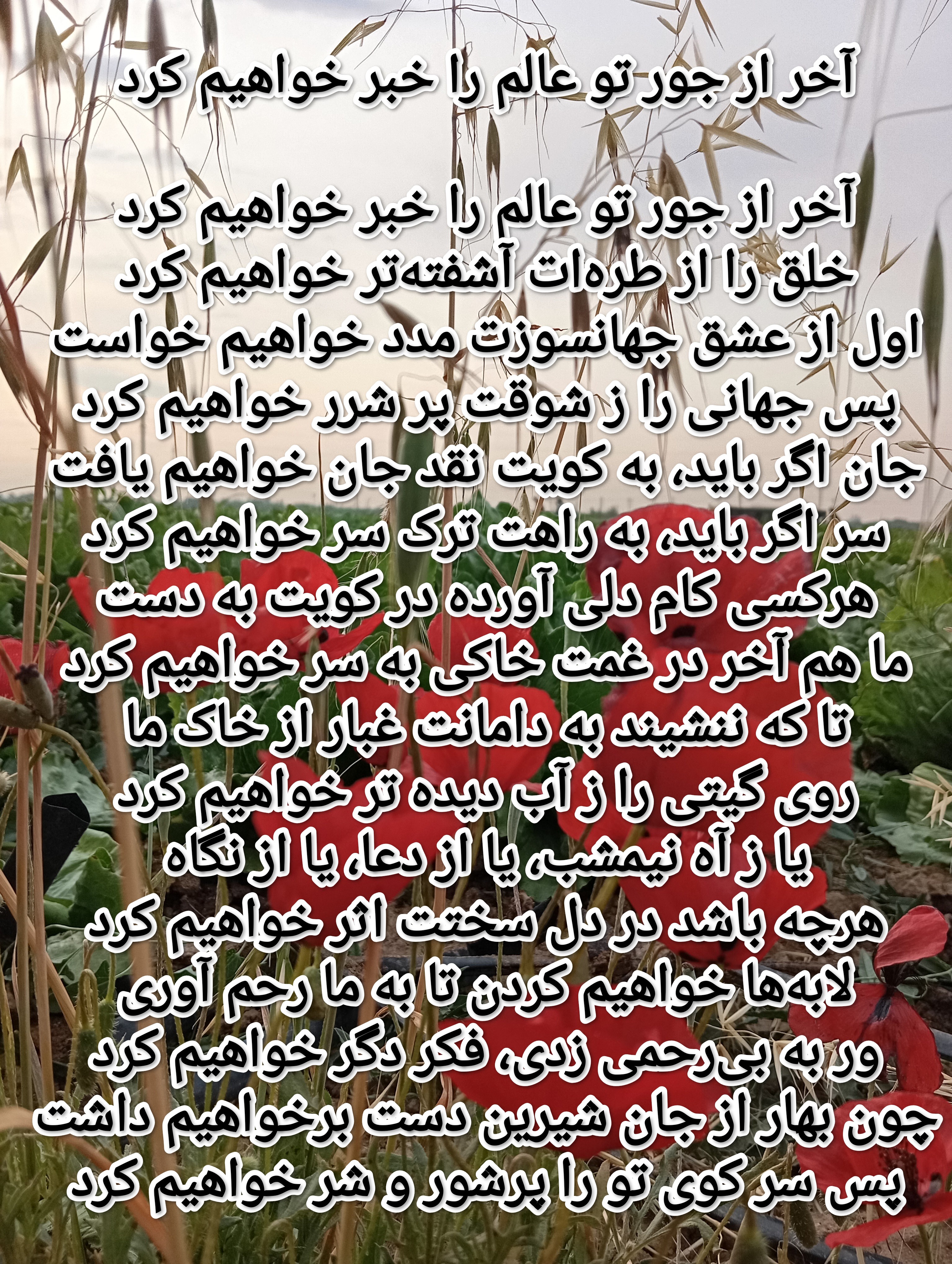 آخر از  جور تو عالم را خبر خواهیم کرد