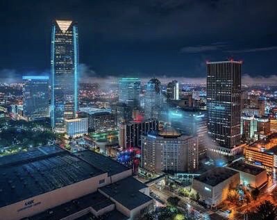 The Urban Jungle