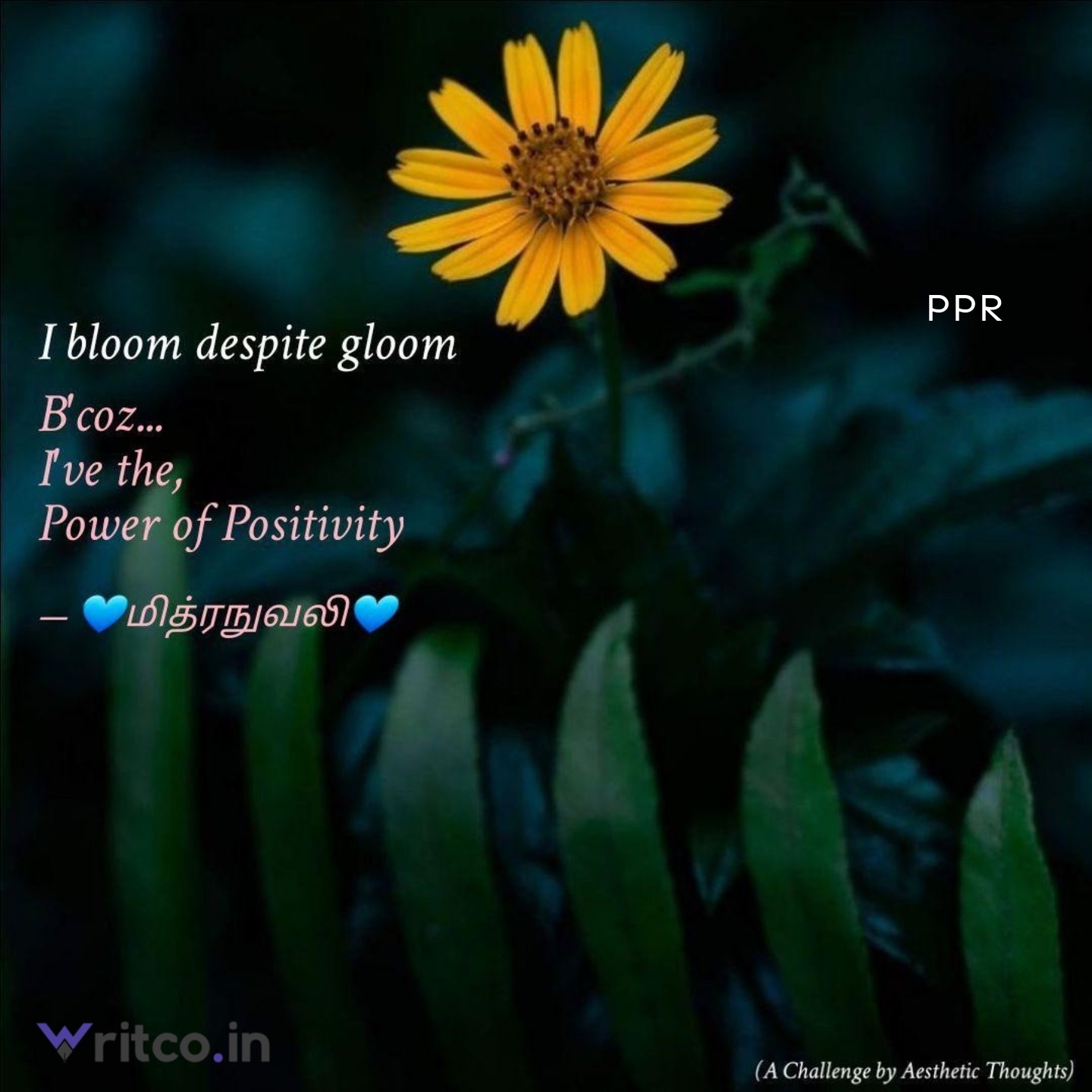 ©தமிழ்த்தூரிகா
©tamilththoorikaa
28mar2026

Pic: YourQuote