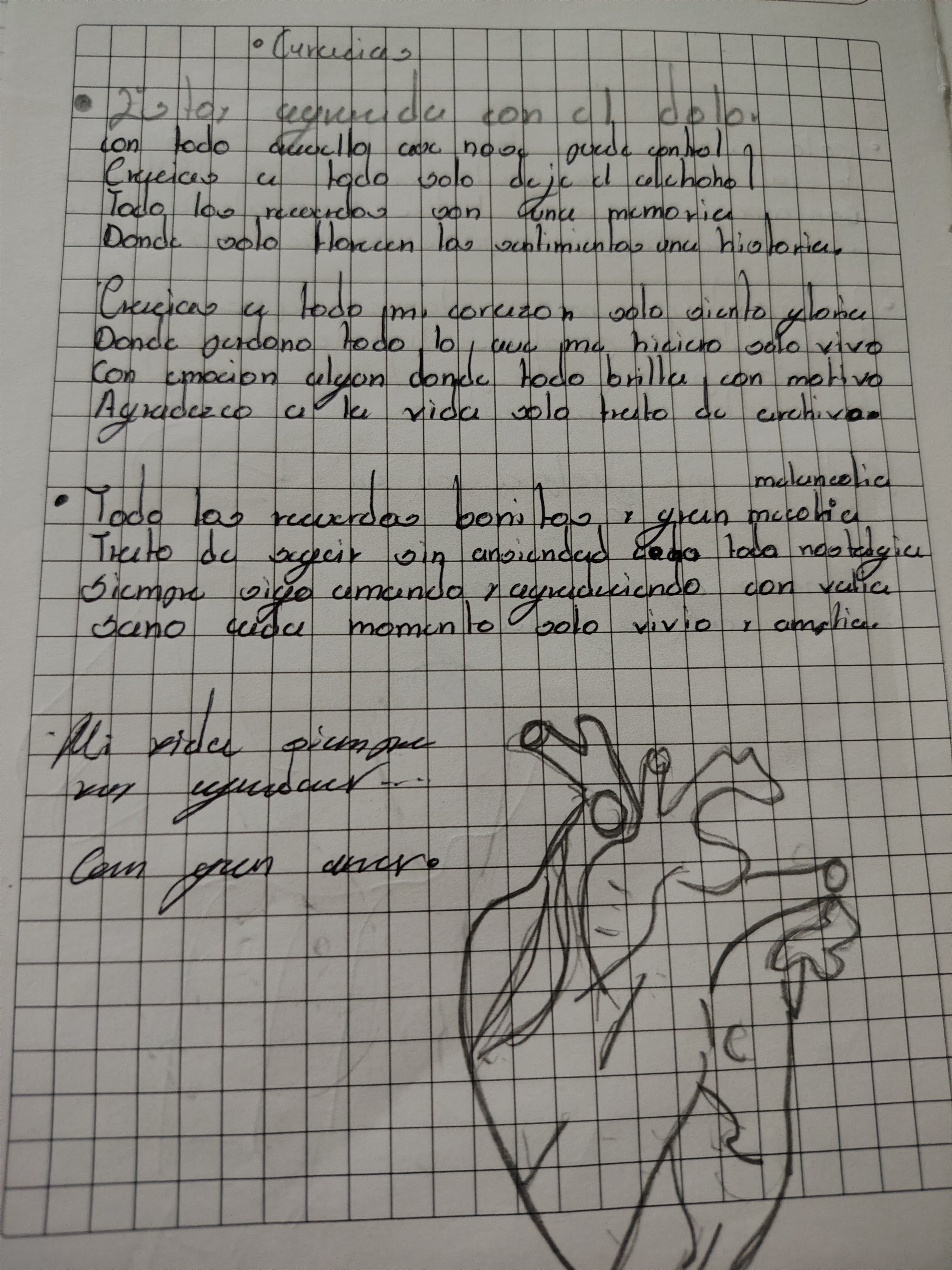 solo fue amor