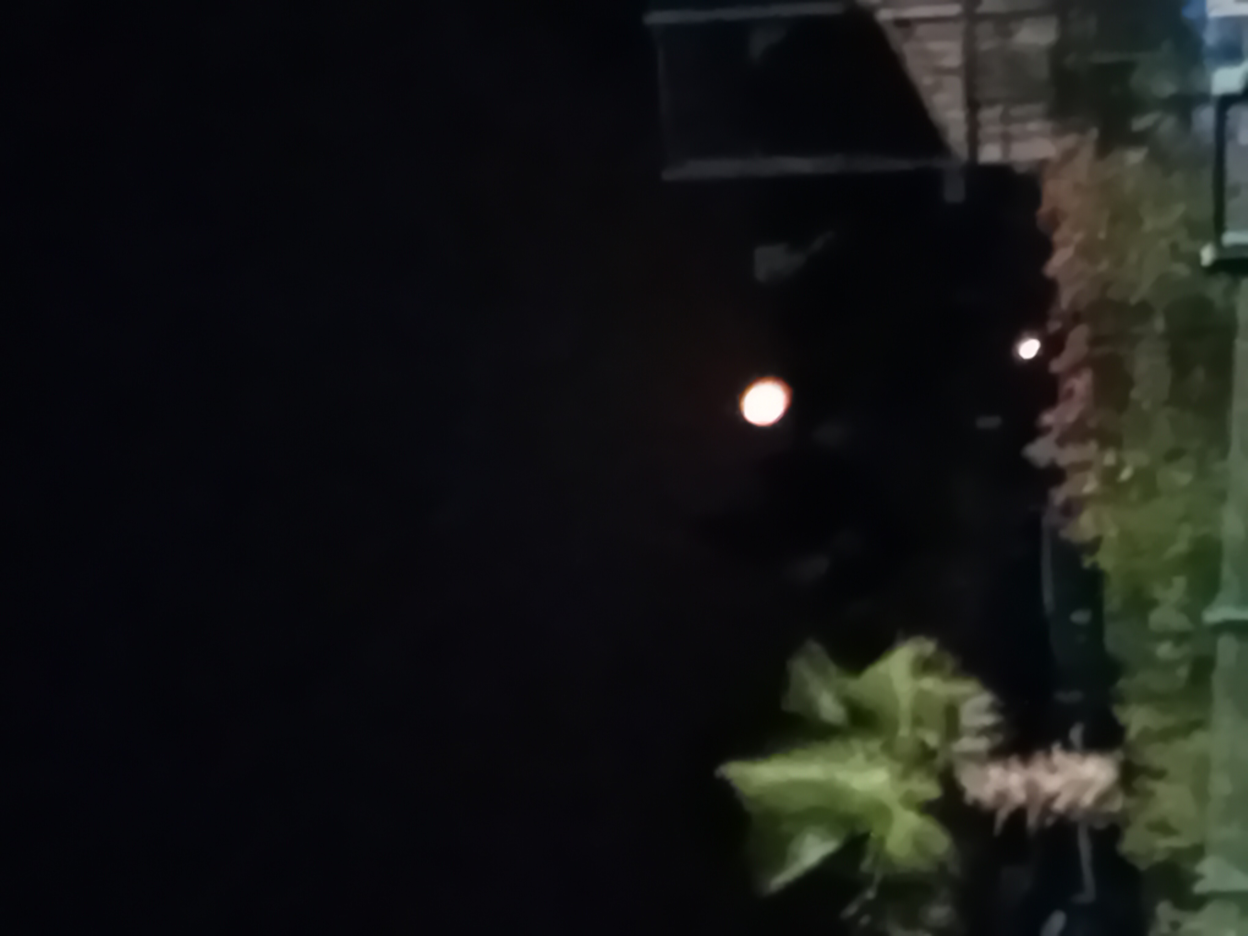 Avec une nuit aussi claire
On croirait entendre le peu
De la fraîche et douce…