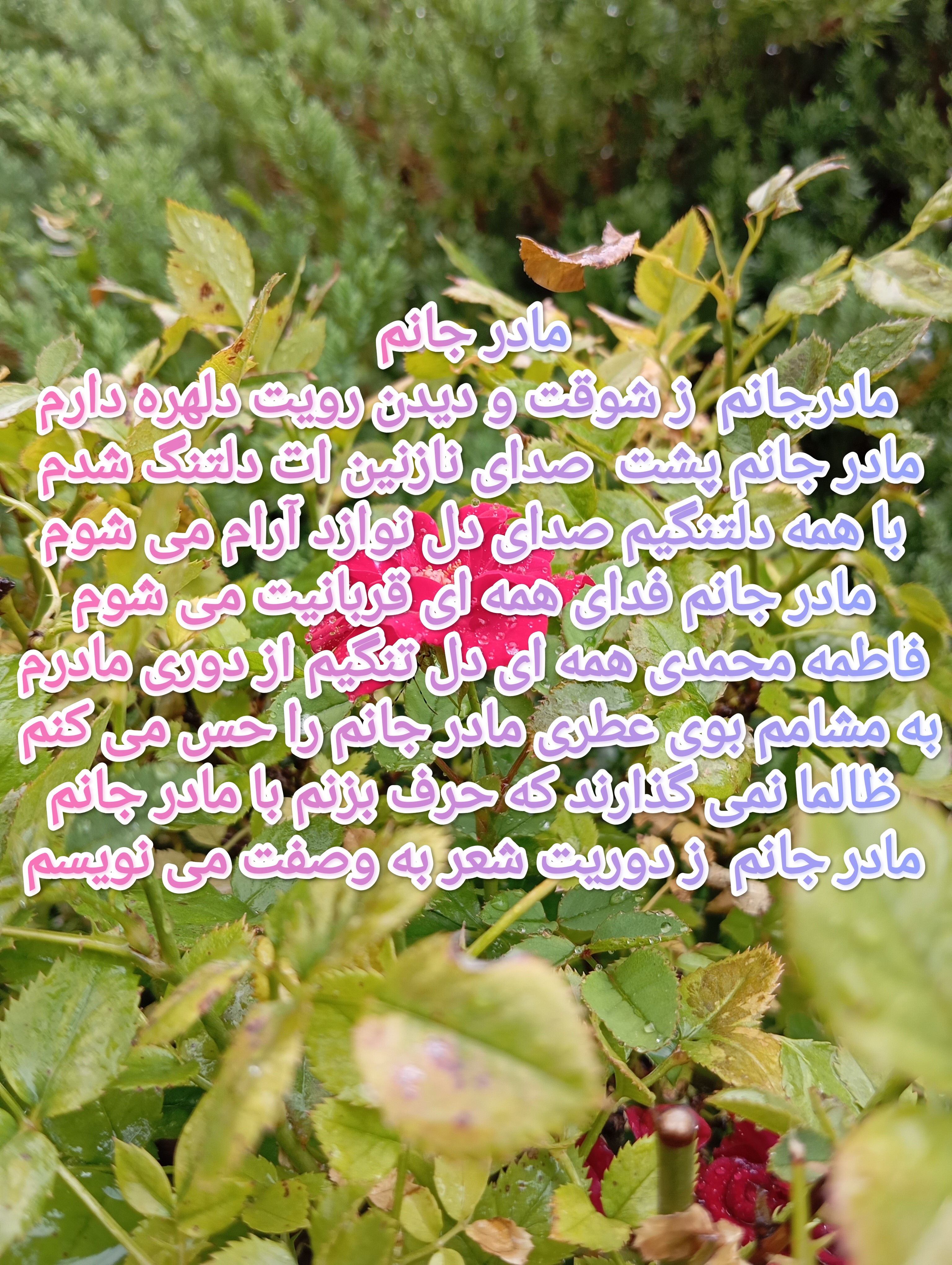 مادرم جانم