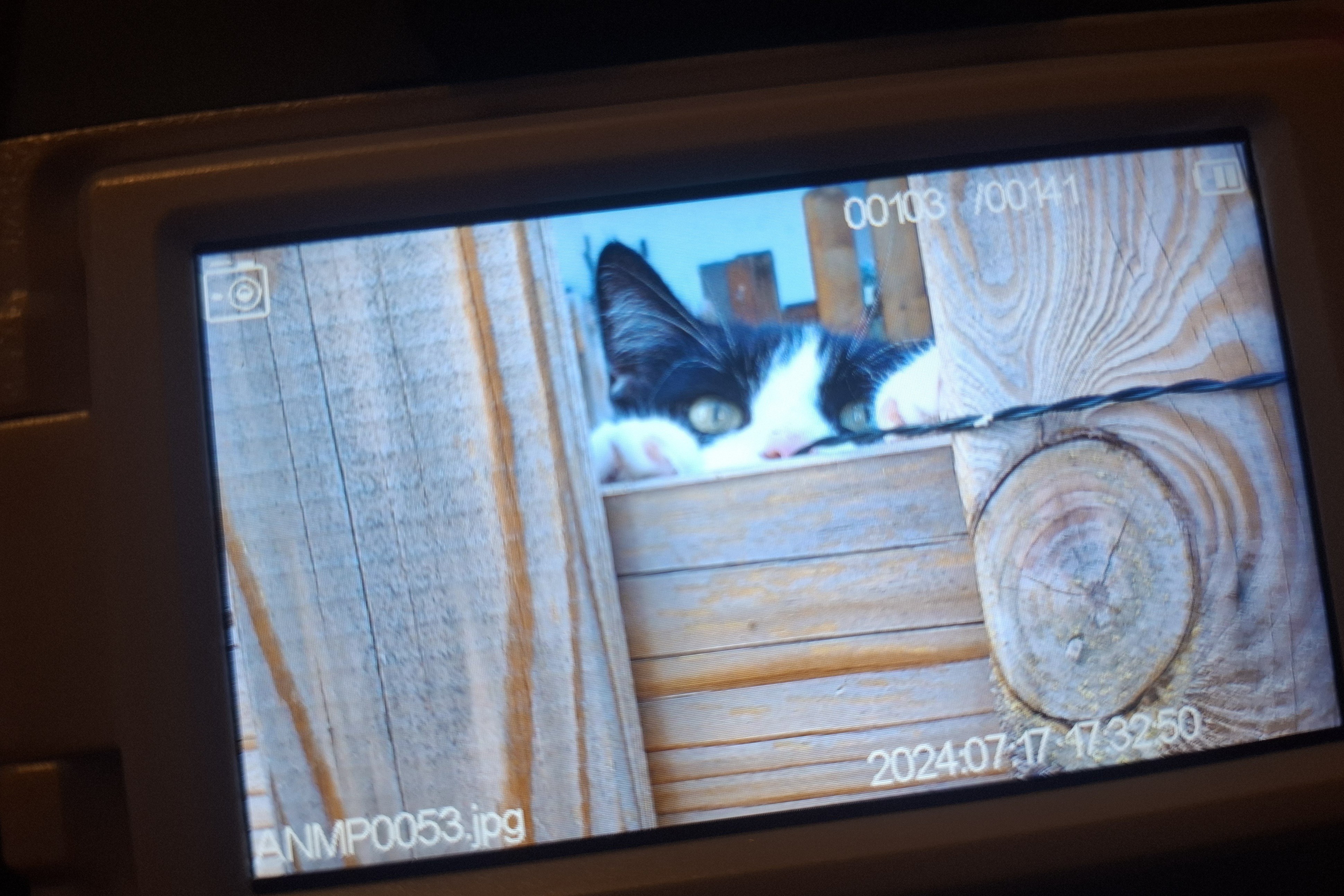 An meiner verstorben Katze (Ricky) Ruhe in Frieden mein Großer ♥️


Ich schau…