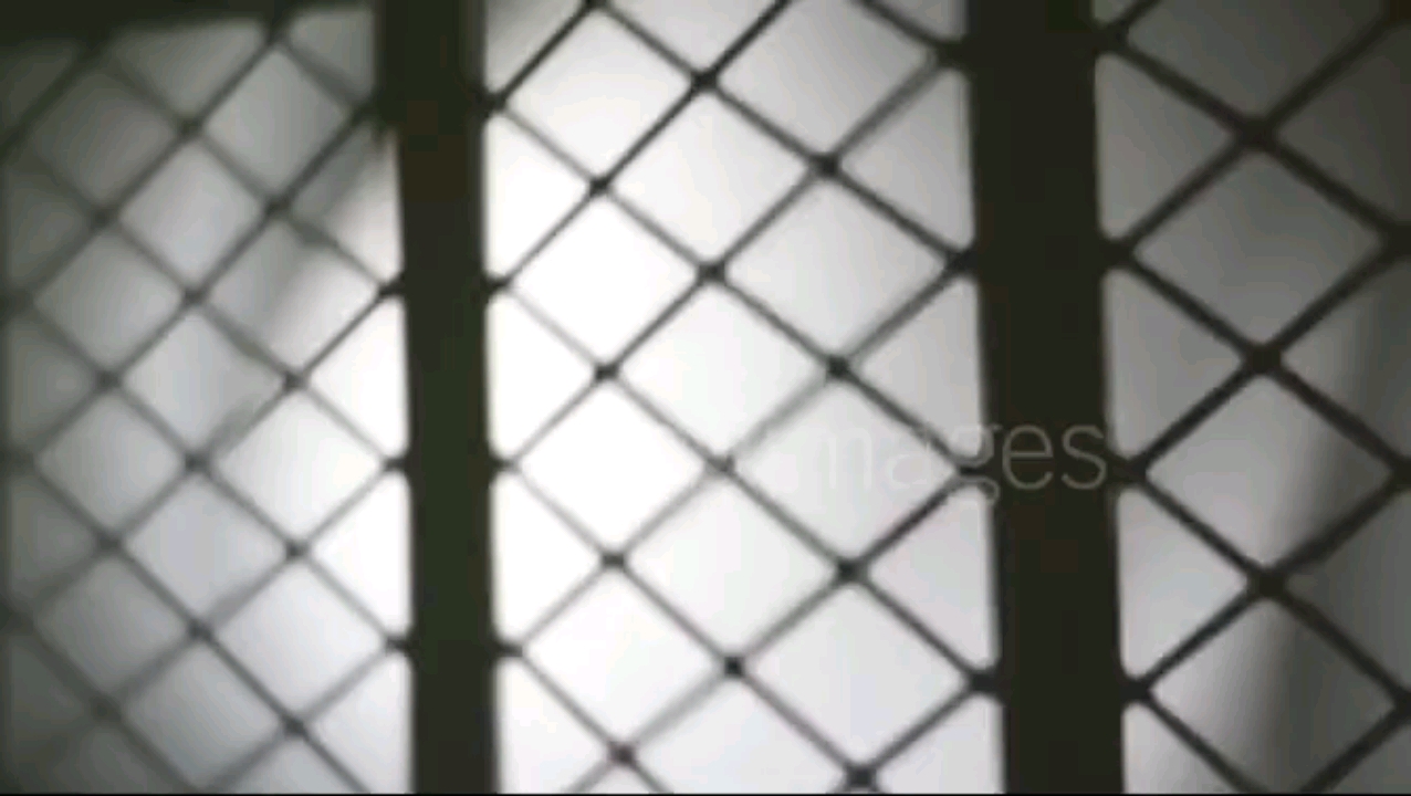 Looking through this fence, the other side looks better.
I daydream about the…