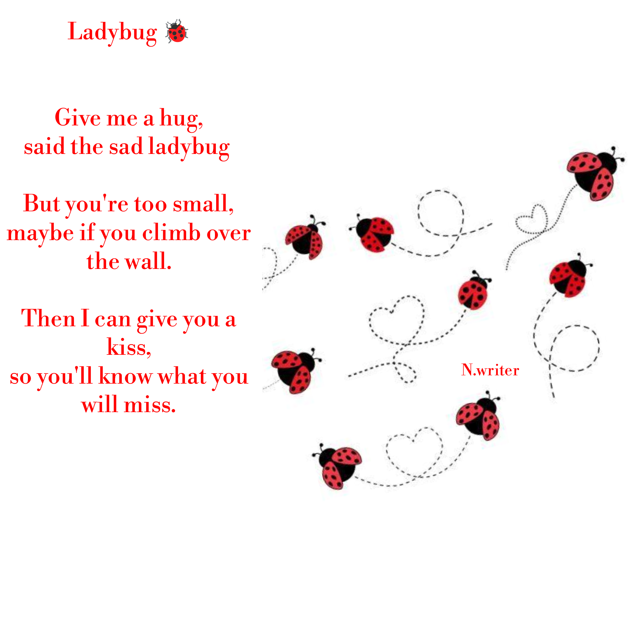 Ladybug 🐞