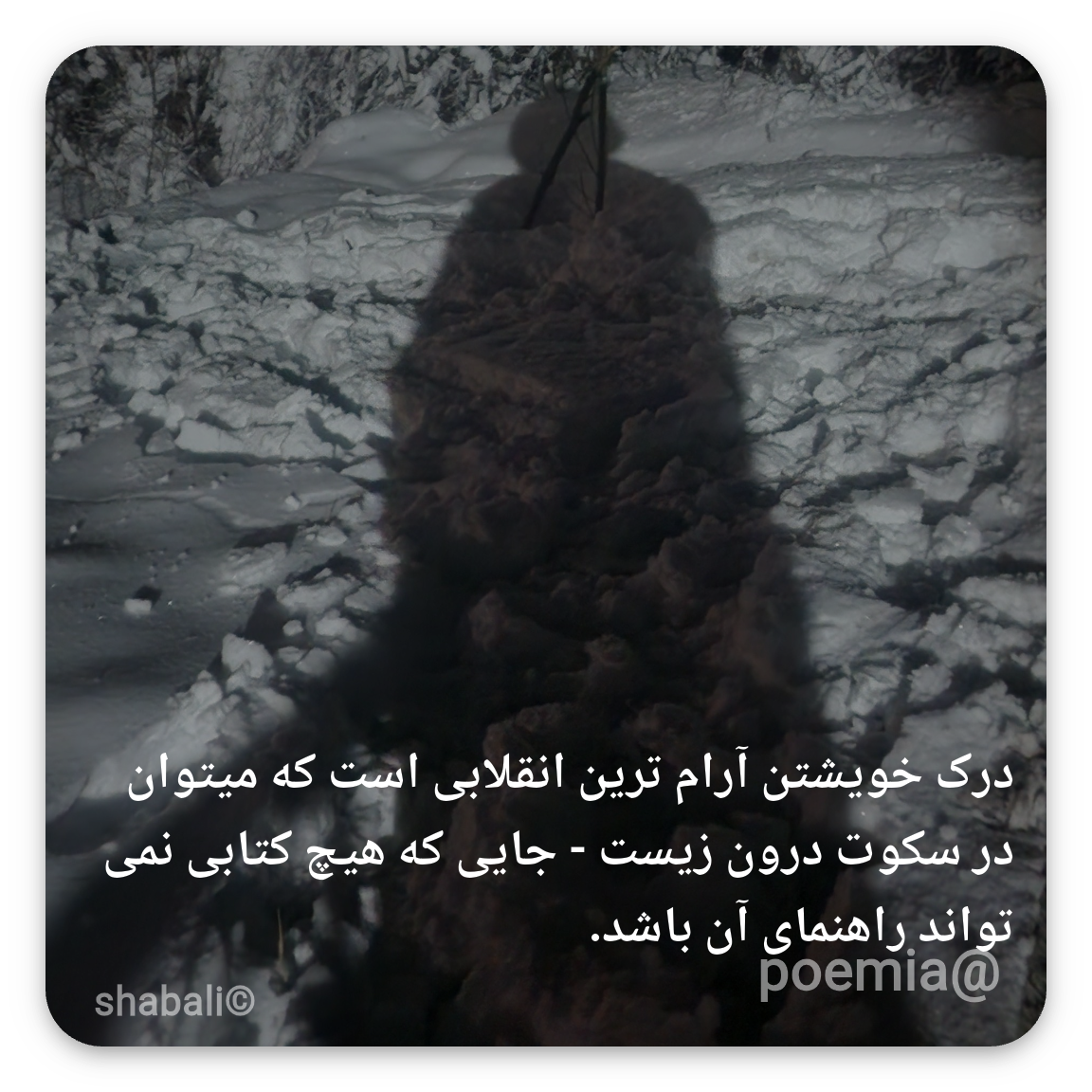 Poemia