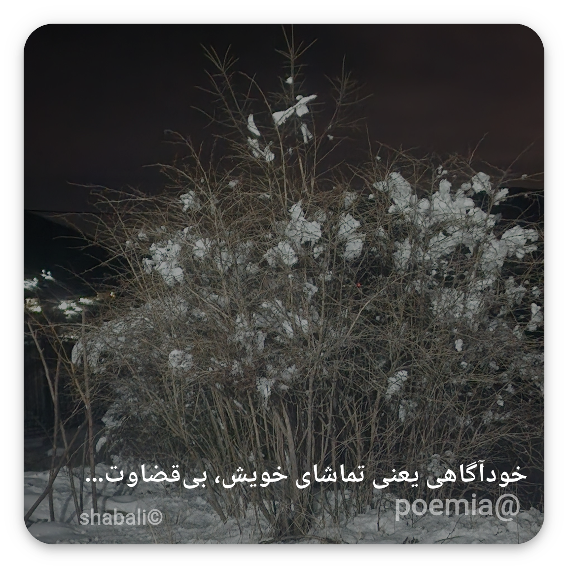 Poemia