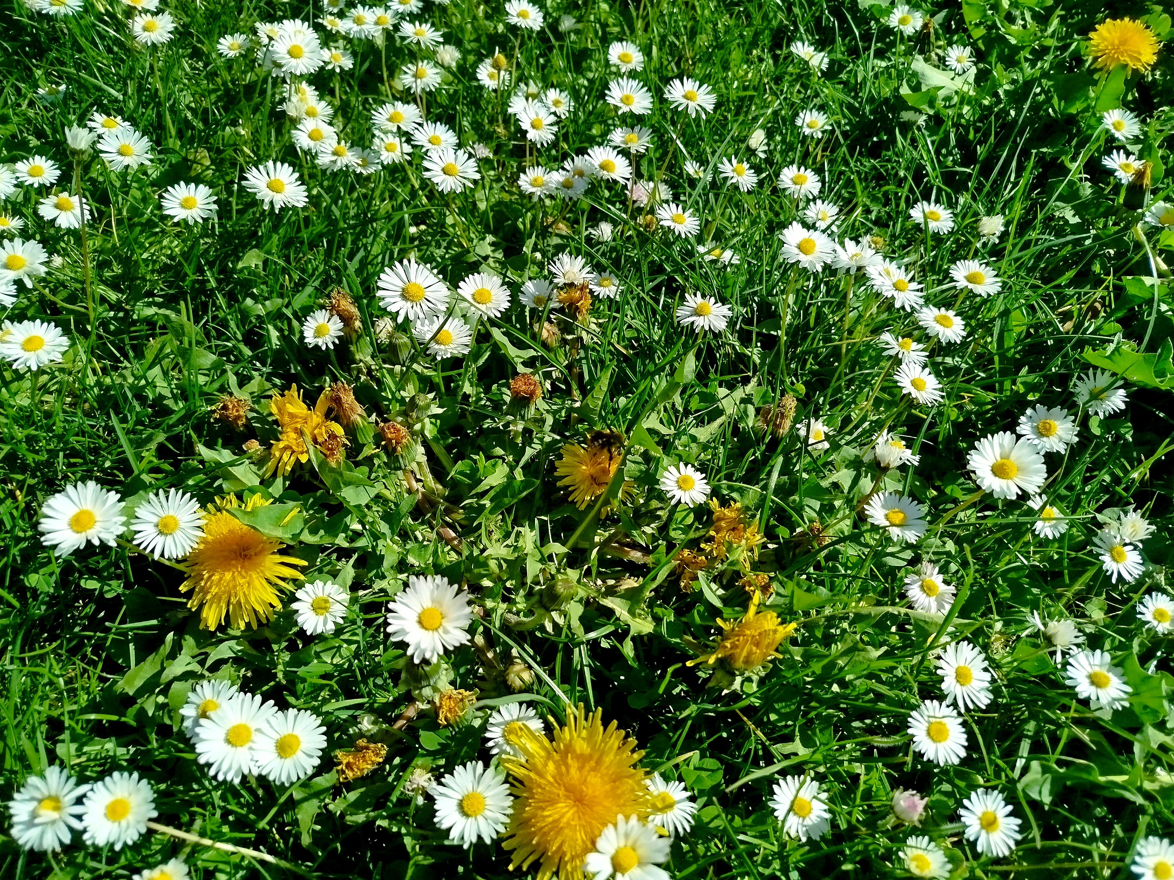 Nature