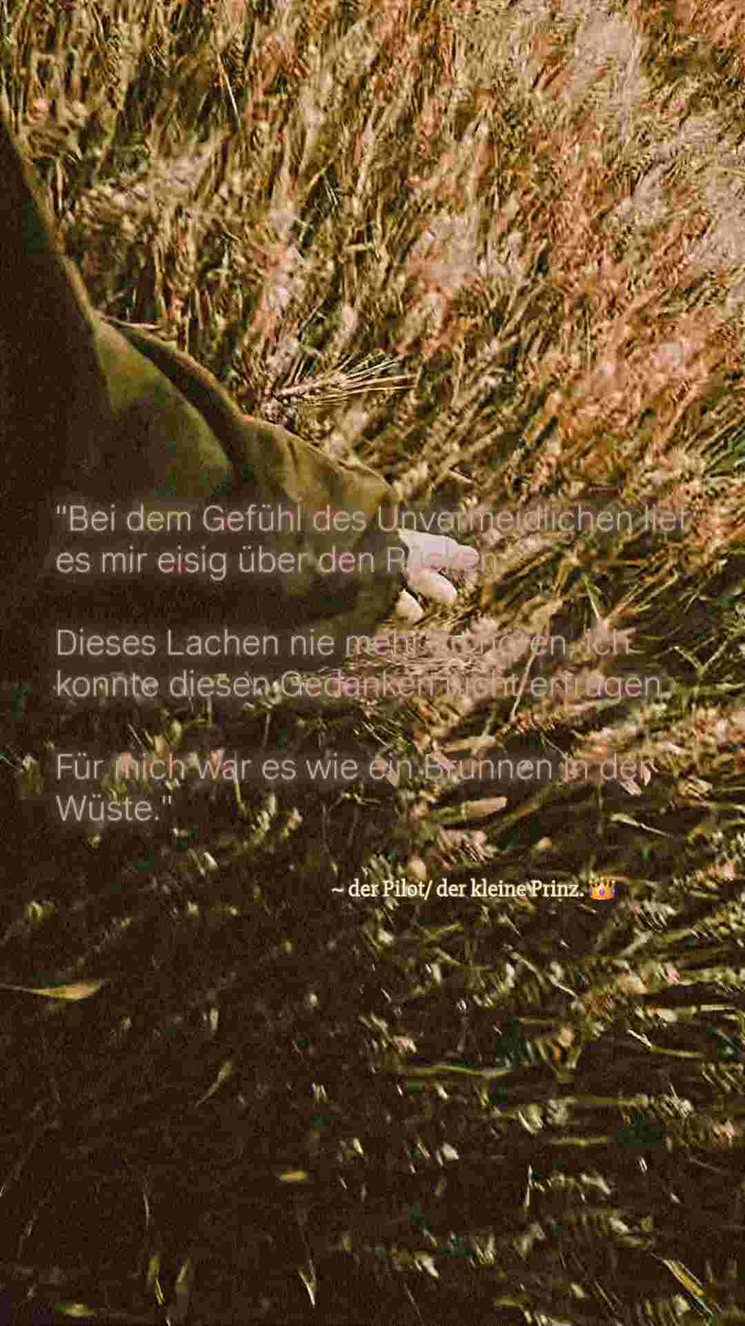 Durch endlose Strapazen.🧭
Mit mentalen Blockaden. 🧱

Du kannst mir nicht mehr…