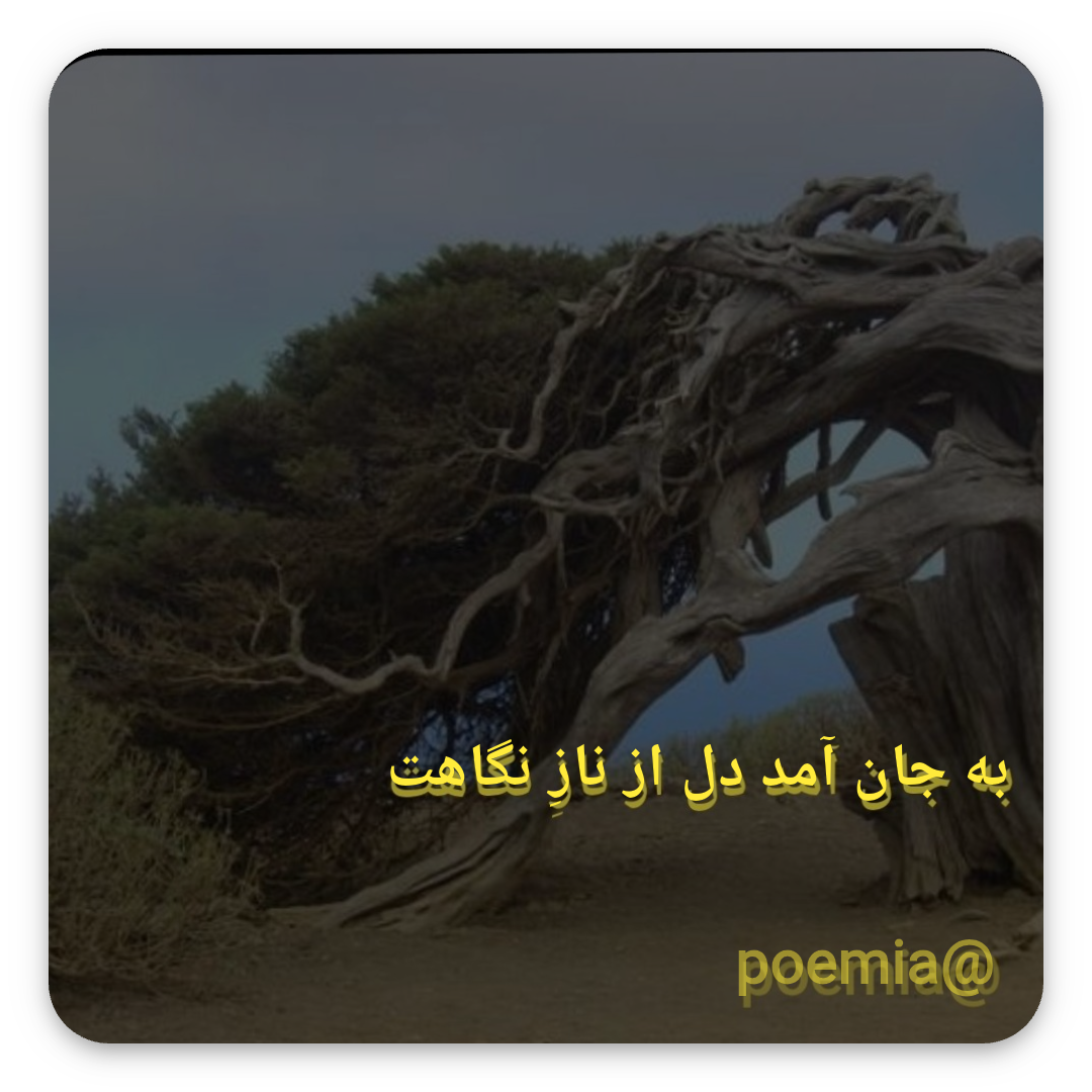 Poemia