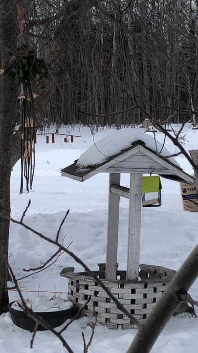 The wind howls, wind chimes ring and birds make a racket.
It is cold outside…