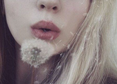 dandelion