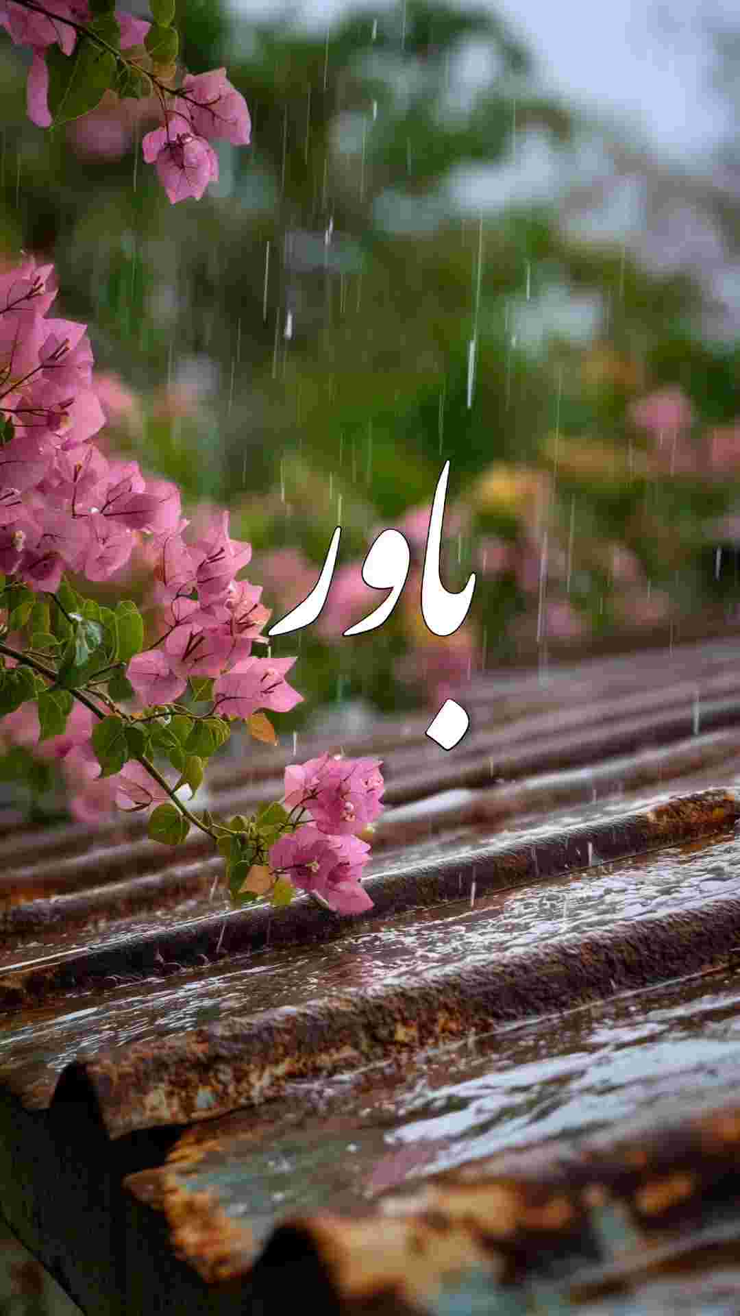 ✨📌 باور
🎤📝 ندابیات 

💢به زندگی سلام کن 
و شکرگزار باش
همین که نفس…