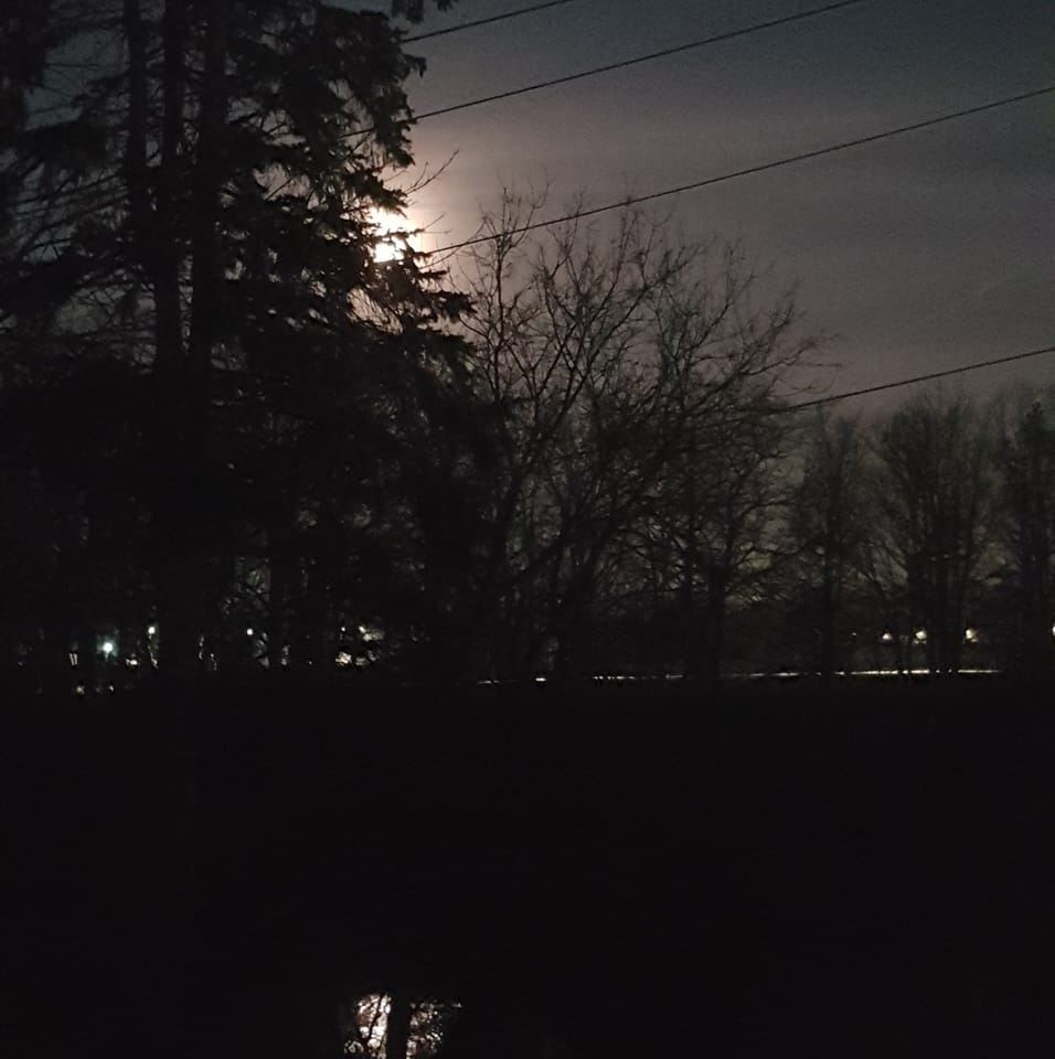 Two nights