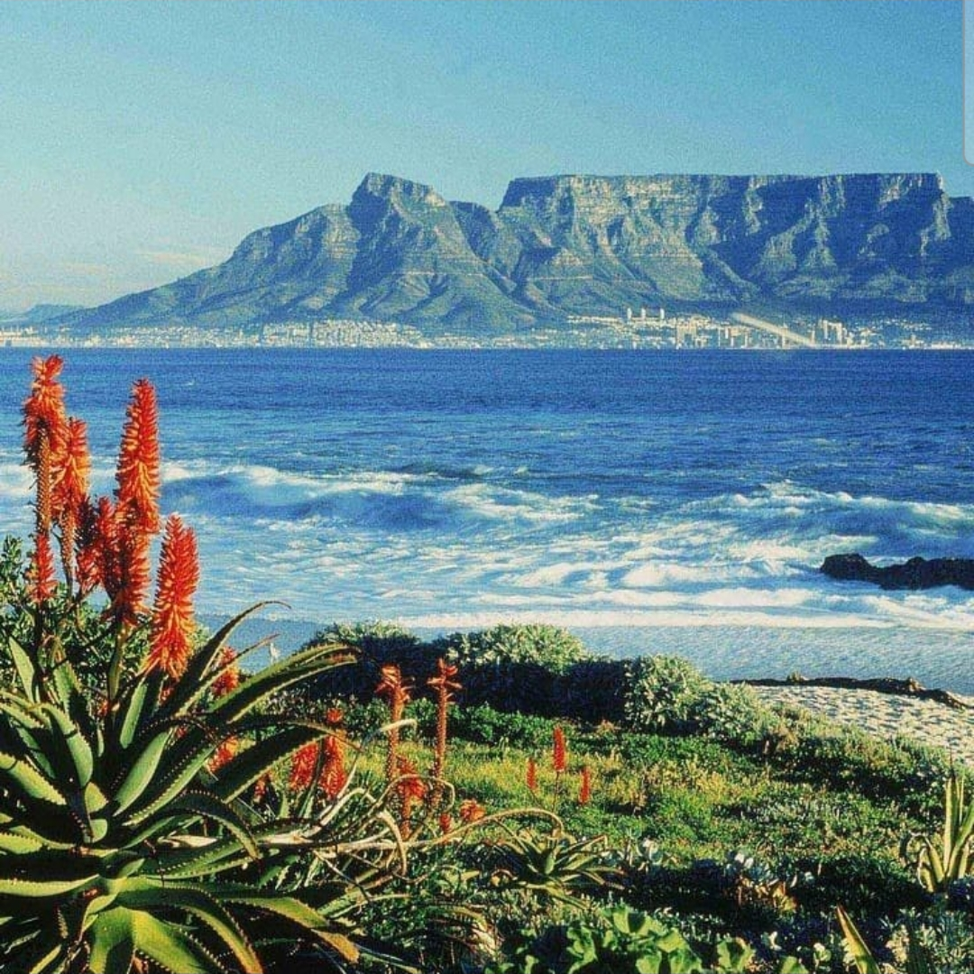 Table Mountain

Feast your eyes on a lovely suprise, it's such a prize once…