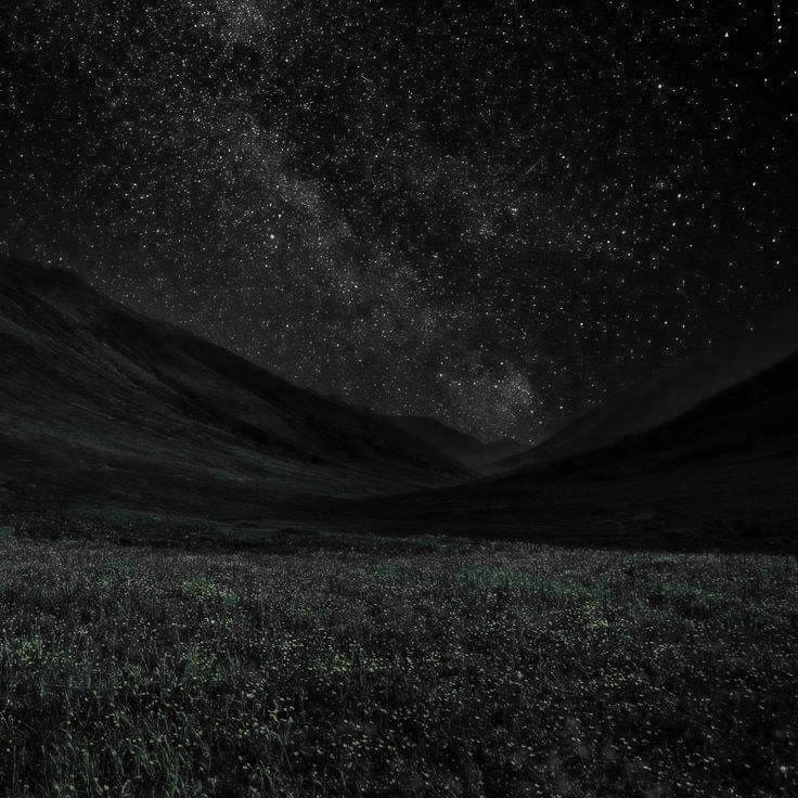" Está noche vas a morir "