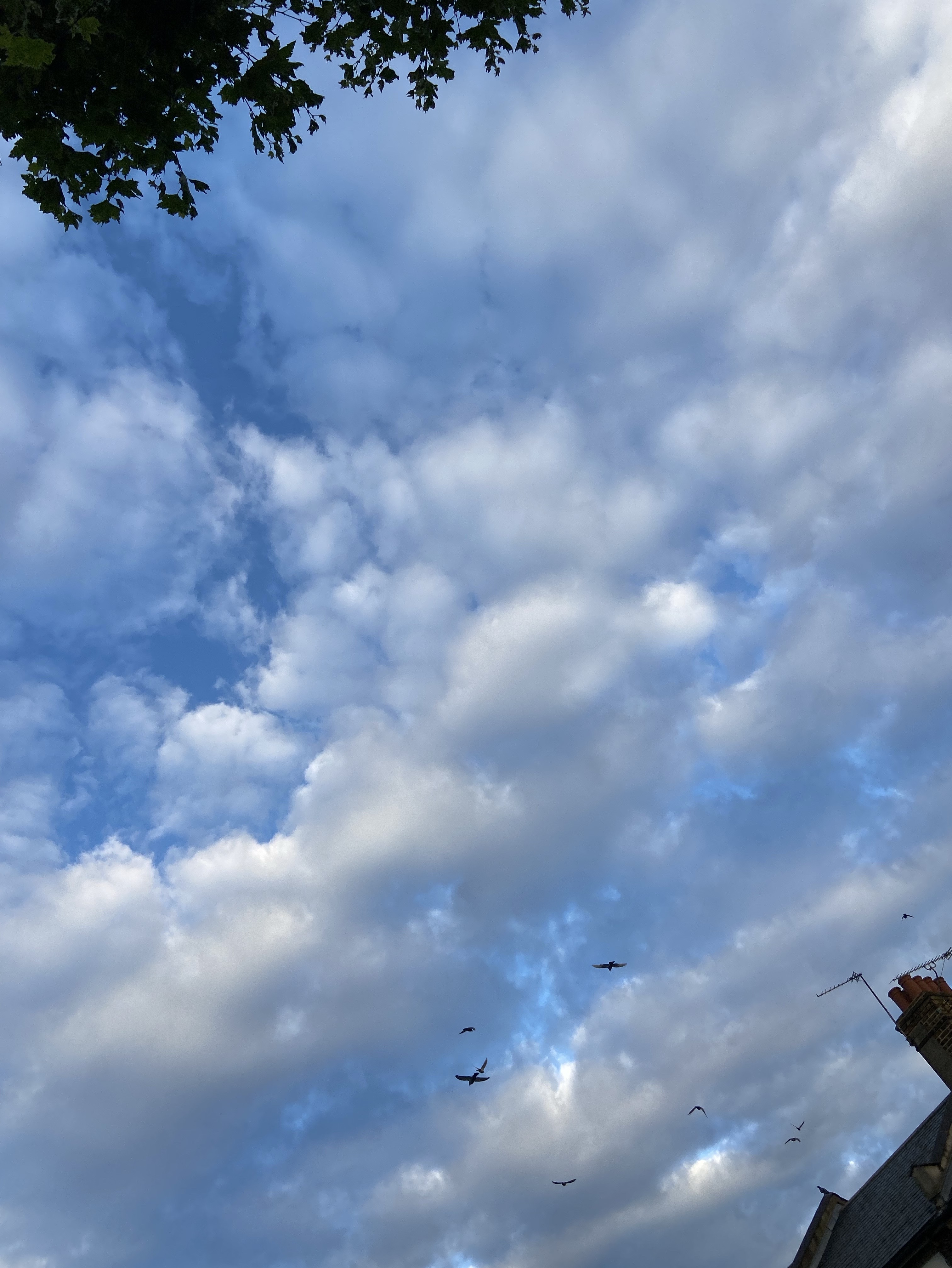 I wish I could build a home up in the clouds,
far from the grasp of harsh…