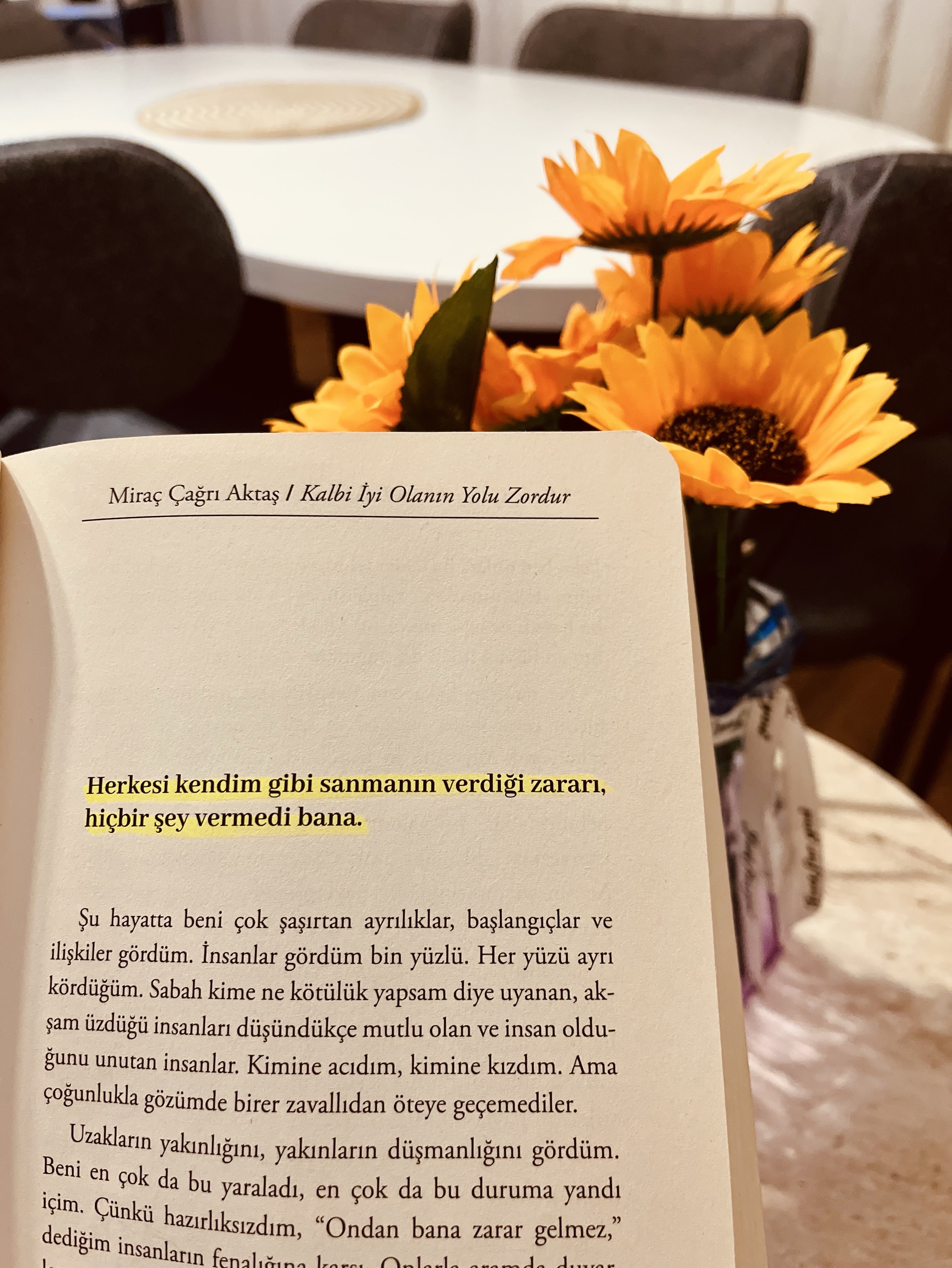 Belki de mesele bu kadar derin ve acıydı.

