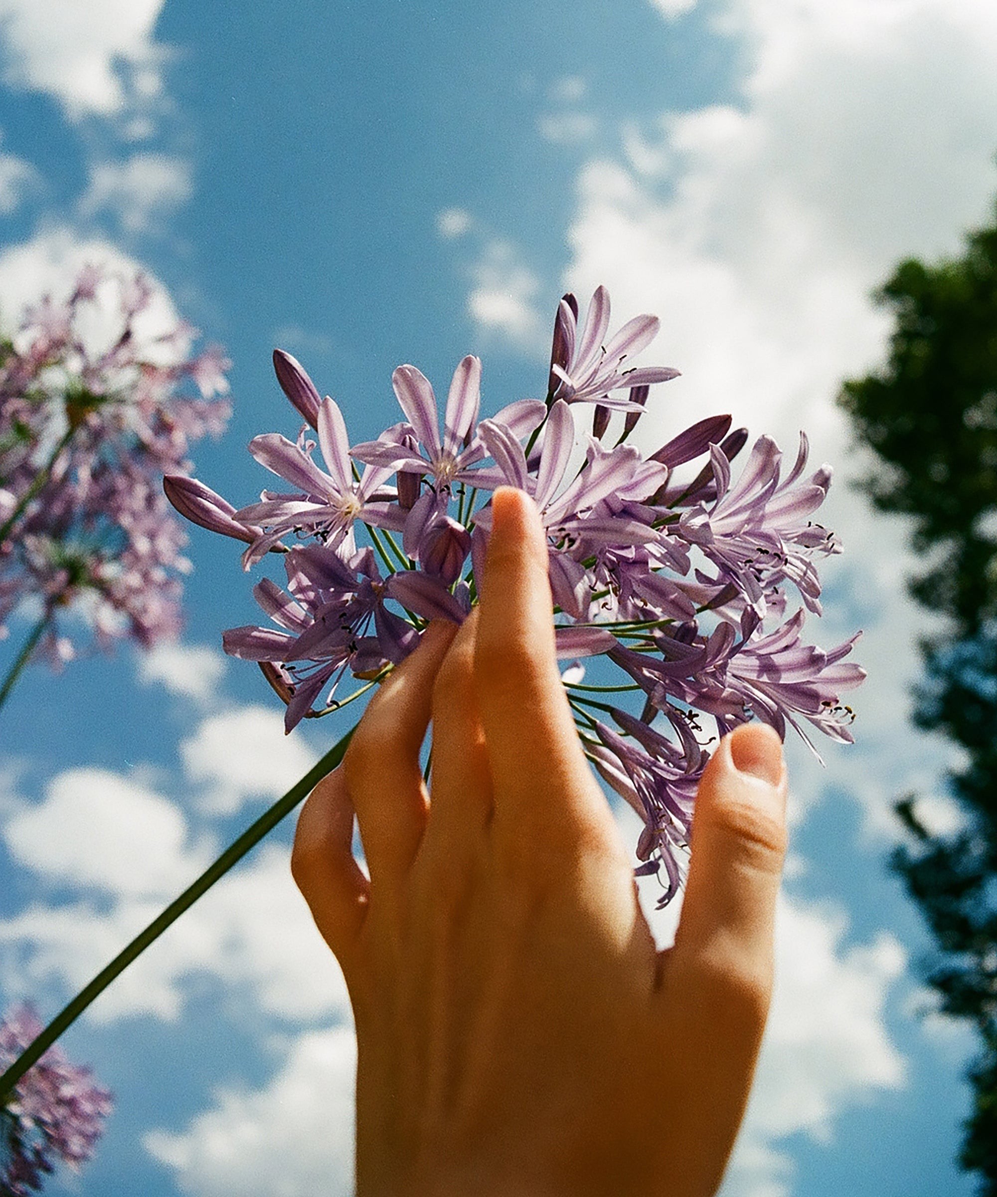 Retour du printemps.

Chaque matin, certains regardent l'horizon en rêvant…