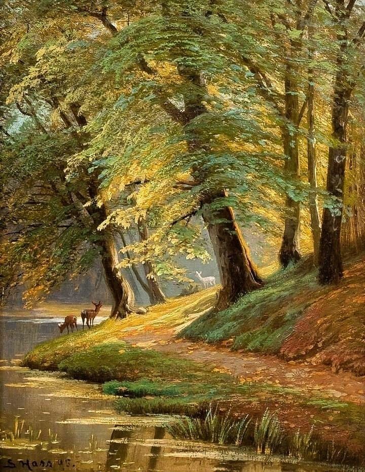 Whispers of the Trees
