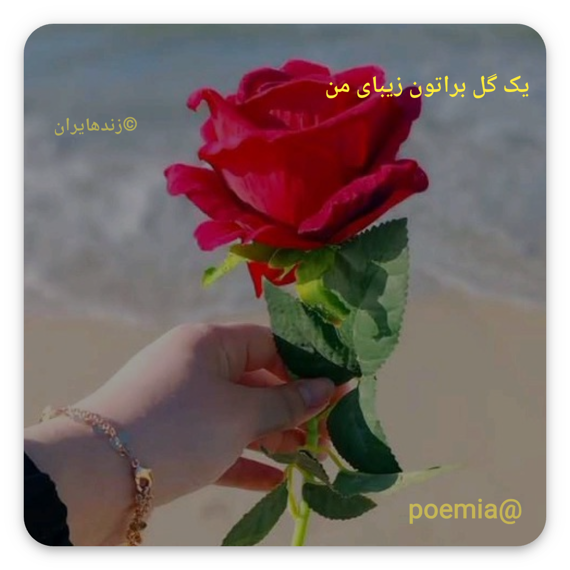 Poemia
