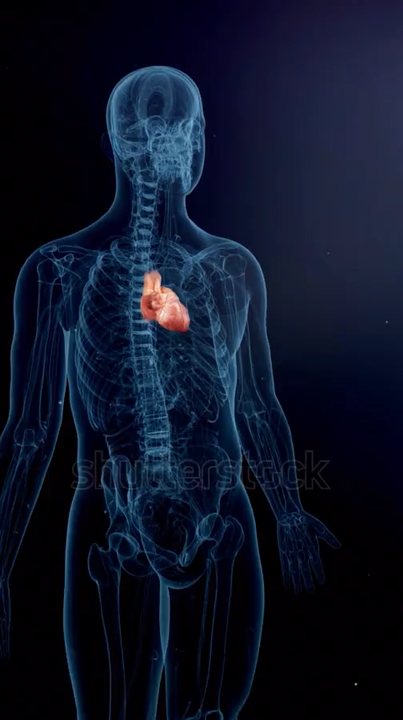 Your heart beats inside you it is what keeps you emotion’s alive.Your heart is…