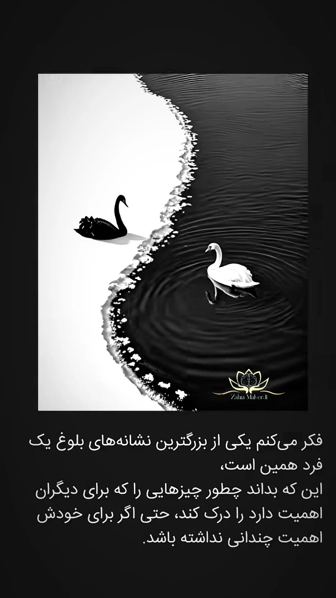 دو قو در دو دنیا و خطی که هر دو را می شناسد - شايد ذهن هم همین باشد پلی میان…